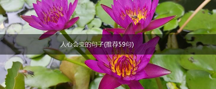 人心会变的句子(推荐59句),第1张