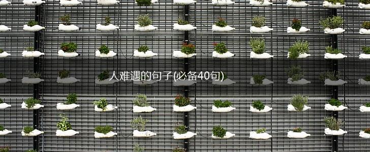 人难遇的句子(必备40句),第1张