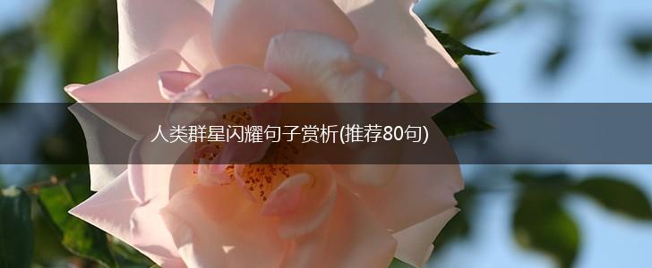人类群星闪耀句子赏析(推荐80句),第1张