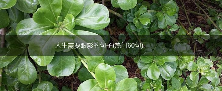 人生需要眼影的句子(热门60句),第1张
