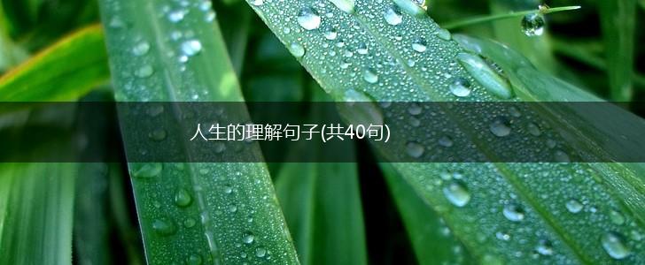 人生的理解句子(共40句),第1张