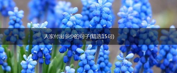 人家付出多少的句子(精选15句),第1张