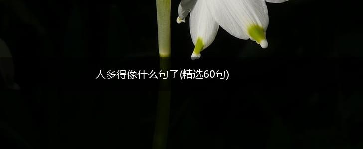 人多得像什么句子(精选60句),第1张
