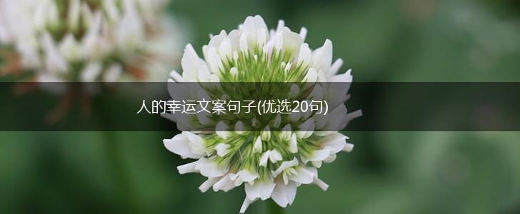 人的幸运文案句子(优选20句),第1张