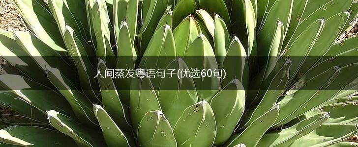 人间蒸发粤语句子(优选60句),第1张