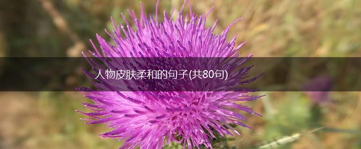 人物皮肤柔和的句子(共80句),第1张