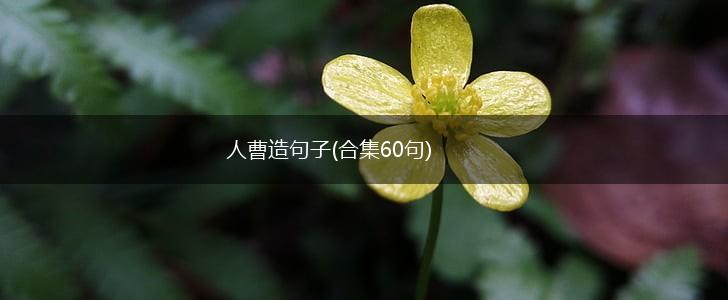 人曹造句子(合集60句),第1张