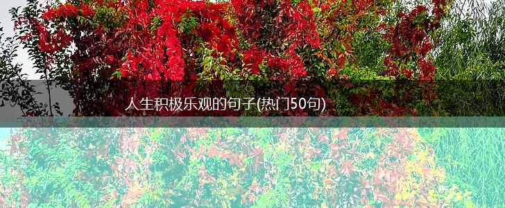 人生积极乐观的句子(热门50句),第1张