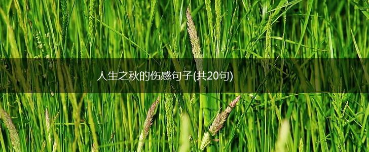 人生之秋的伤感句子(共20句),第1张
