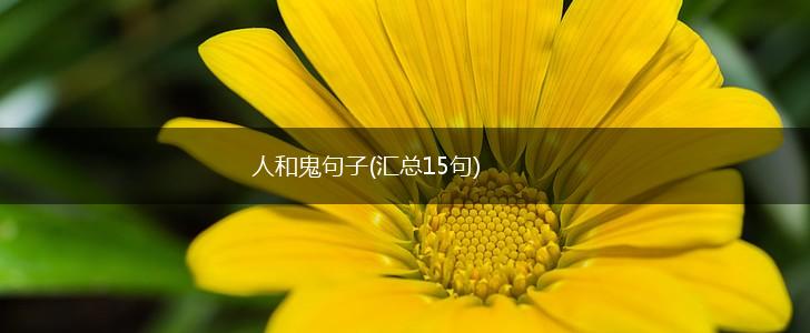 人和鬼句子(汇总15句),第1张