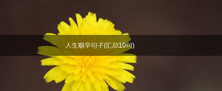 人生艰辛句子(汇总10句),第1张