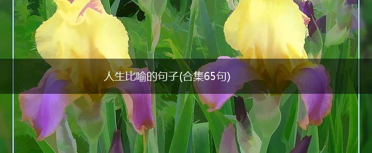人生比喻的句子(合集65句),第1张