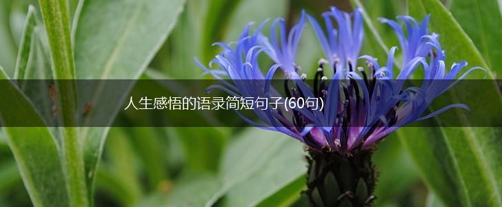 人生感悟的语录简短句子(60句),第1张