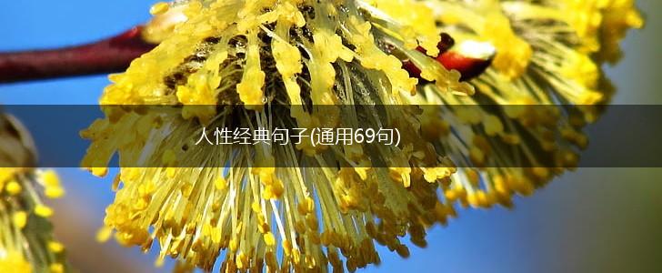 人性经典句子(通用69句),第1张