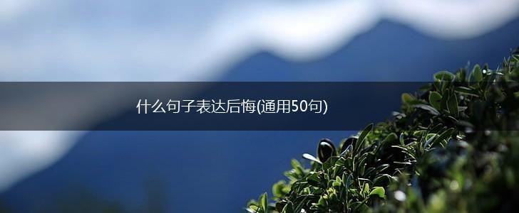什么句子表达后悔(通用50句),第1张