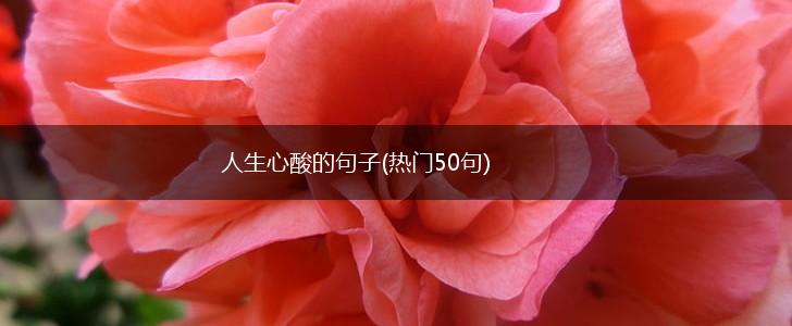 人生心酸的句子(热门50句),第1张