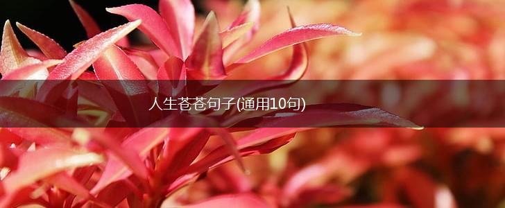 人生苍苍句子(通用10句),第1张