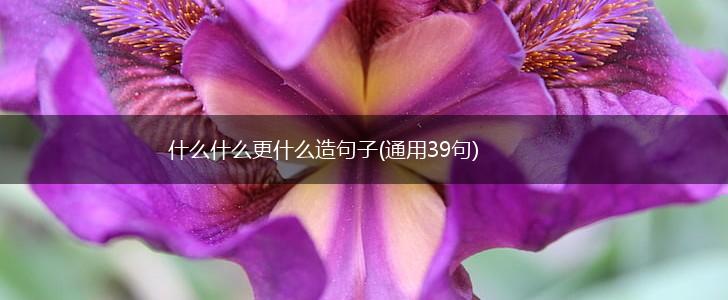 什么什么更什么造句子(通用39句),第1张