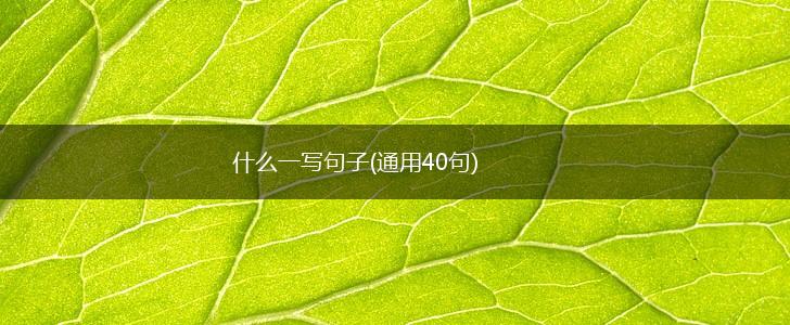 什么一写句子(通用40句),第1张