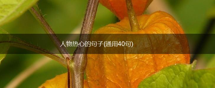 人物热心的句子(通用40句),第1张
