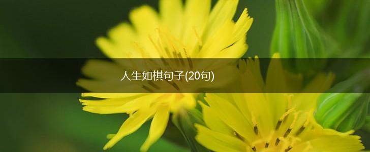 人生如棋句子(20句),第1张