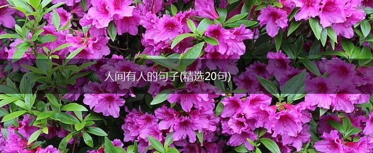 人间有人的句子(精选20句),第1张