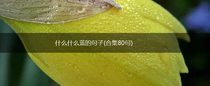 什么什么蓝的句子(合集80句),第1张