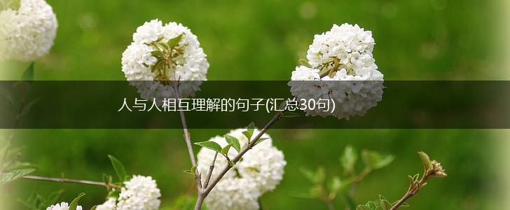 人与人相互理解的句子(汇总30句),第1张