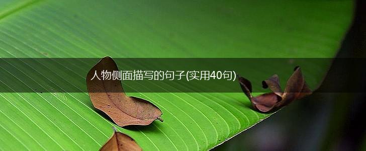 人物侧面描写的句子(实用40句),第1张