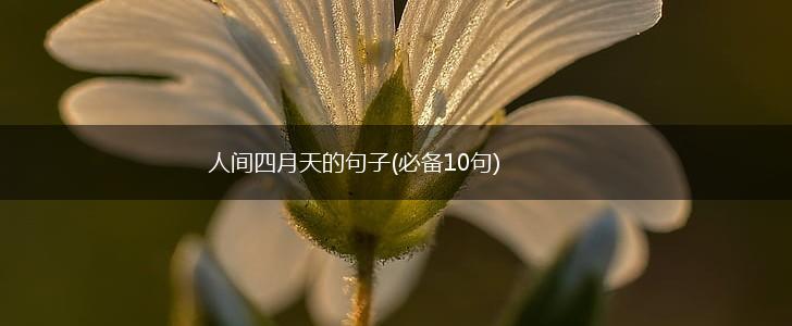 人间四月天的句子(必备10句),第1张