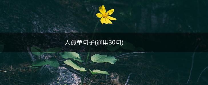 人孤单句子(通用30句),第1张
