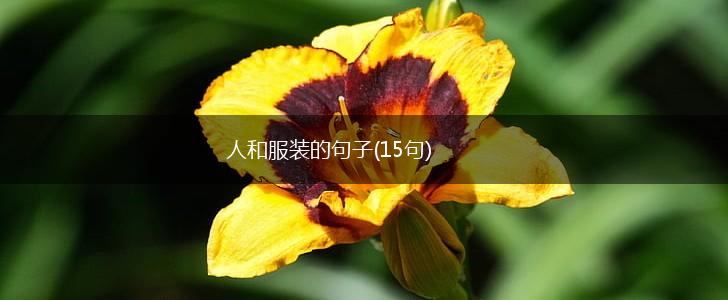 人和服装的句子(15句),第1张
