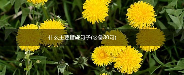 什么主要措施句子(必备80句),第1张