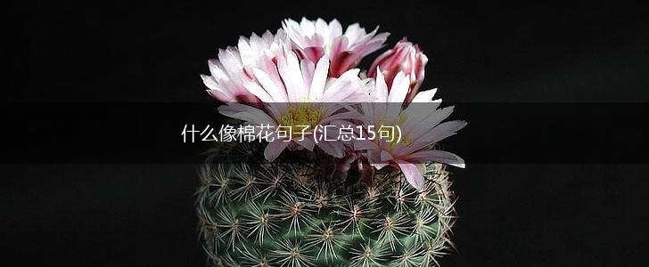 什么像棉花句子(汇总15句),第1张