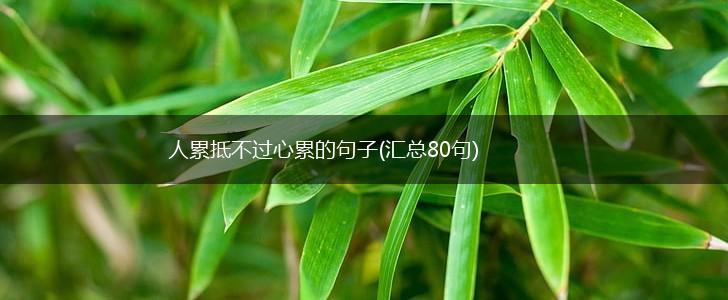 人累抵不过心累的句子(汇总80句),第1张