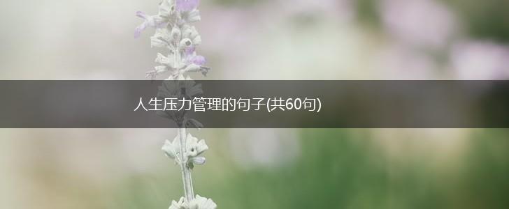 人生压力管理的句子(共60句),第1张