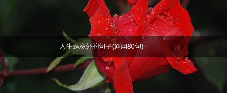 人生是意外的句子(通用80句),第1张