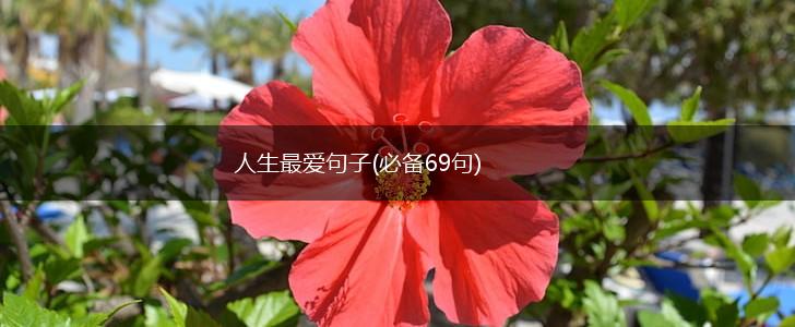 人生最爱句子(必备69句),第1张