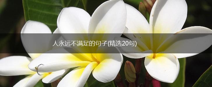 人永远不满足的句子(精选20句),第1张