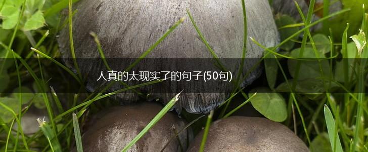 人真的太现实了的句子(50句),第1张