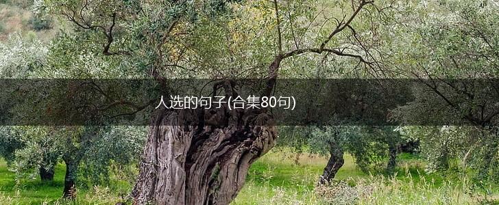 人选的句子(合集80句),第1张