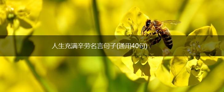 人生充满辛劳名言句子(通用40句),第1张