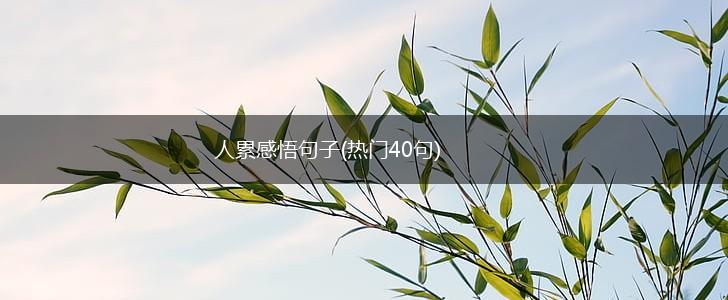 人累感悟句子(热门40句),第1张