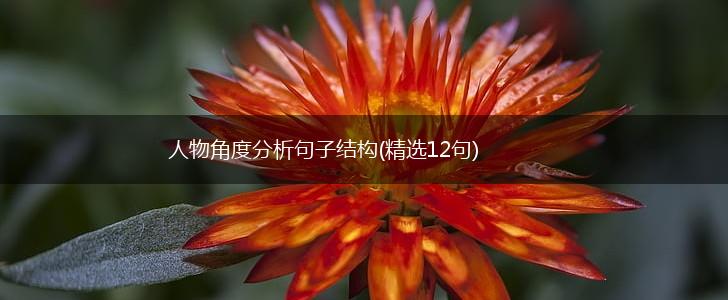人物角度分析句子结构(精选12句),第1张