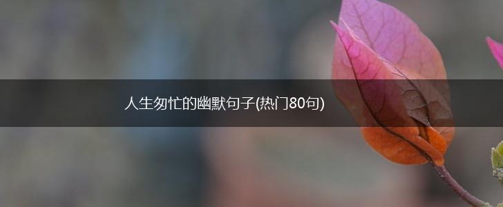 人生匆忙的幽默句子(热门80句),第1张