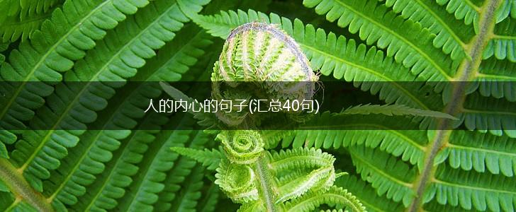 人的内心的句子(汇总40句),第1张
