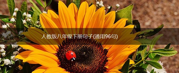 人教版八年级下册句子(通用96句),第1张