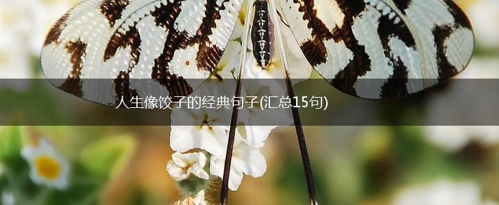 人生像饺子的经典句子(汇总15句),第1张