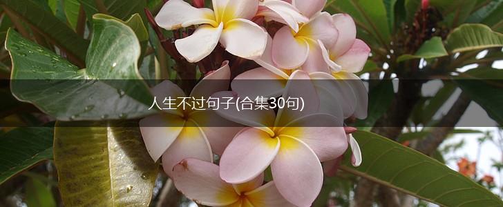 人生不过句子(合集30句),第1张