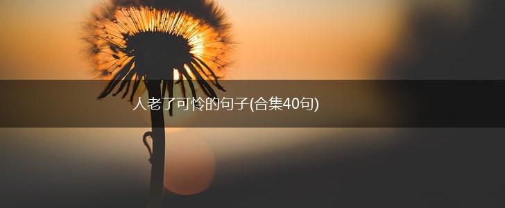人老了可怜的句子(合集40句),第1张